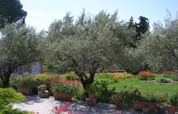 Sérignan-du-Comtat, Vaucluse 84830
