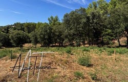 Taradeau, Provence-Alpes-Côte d'Azur 83460