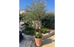 Calenzana, Haute-Corse 20214