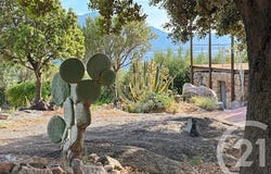LUMIO, Corsica 20260