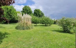 Benais, Indre-et-Loire 37140