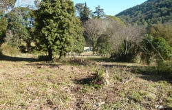 Bargemon, Var 83830