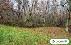 Le Born, Occitanie 31340