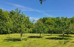 Loubes-Bernac, Lot-Et-Garonne