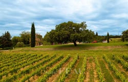Laudun-l'Ardoise, Languedoc-Roussillon 30290