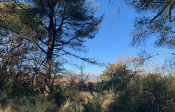 TRETS, Provence-Alpes-Côte d'Azur 13530