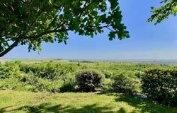 Mortagne-sur-Gironde, Poitou-Charentes 17120