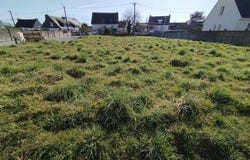 Vannes, Bretagne 56000