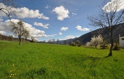 MEAILLES, Provence-Alpes-Côte d'Azur 04240