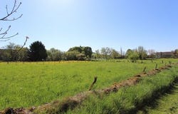 PAINBLANC, Bourgogne 21360