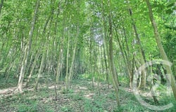 Château-Thierry, Aisne 02400