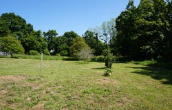 Pabu, Brittany 22200