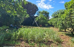 L ISLE JOURDAIN, Occitanie 32600