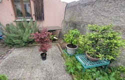 HERRLISHEIM-PRES-COLMAR, Grand Est 68420