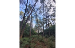 Samadet, Landes 40320