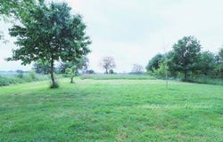 FOUSSAIS PAYRE, Pays de la Loire 85240