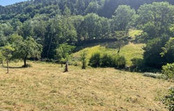 Lautenbachzell, Haut-Rhin 68610