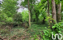 VILLENEUVE-SUR-BELLOT, Île-de-France 77510