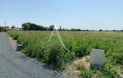 GRUES, Pays de la Loire 85580