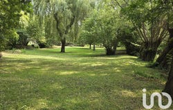 Vineuil, Centre-Val de Loire 41350