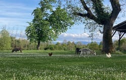 Pailhès, Midi-Pyrénées 09130