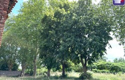 Mazères, Ariège 09270