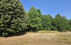 Pannecé, Pays de la Loire 44440