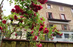 Chambost-Allières, Rhône 69870
