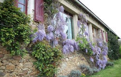 Sauveterre-de-Rouergue, Midi-Pyrénées 12800