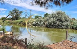 Marsillargues, Languedoc-Roussillon 34590