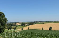 La Romieu, Midi-Pyrénées 32480