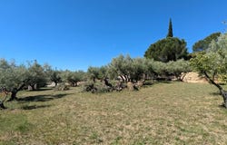 Cotignac, Var 83570