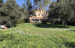 Saint-Jean-Lasseille, Languedoc-Roussillon 66300