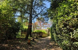 Boisset-et-Gaujac, Languedoc-Roussillon 30140