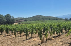 Perpignan, Languedoc-Roussillon 66000