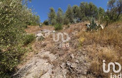 Le Luc, Provence-Alpes-Côte d'Azur 83340