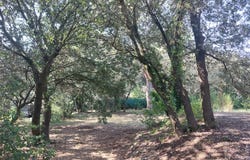 Uzès, Languedoc-Roussillon 30700