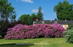 Lanouaille, Aquitaine 24270