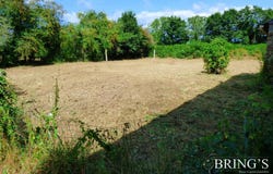 Muneville-le-Bingard, Manche 50490