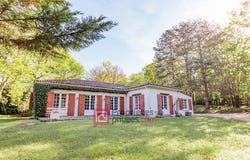 Breuillet, Nouvelle-Aquitaine 17920
