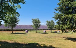 Valensole, Provence-Alpes-Côte-d'Azur 04210