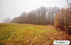 Pageas, Nouvelle-Aquitaine 87230