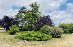 Cissé, Poitou-Charentes 86170