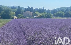 La Garde-Adhémar, Auvergne-Rhône-Alpes 26700