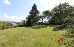 Brouvelieures, Grand Est 88600