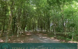 Vire, Calvados 14500