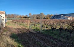 Richerenches, Provence-Alpes-Côte d'Azur 84600
