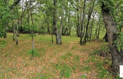 Coux, Ardèche 07000