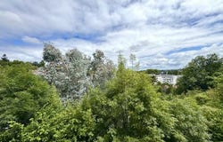BAYONNE, Aquitaine 64100