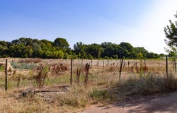 Saint-André-de-Sangonis, Languedoc-Roussillon 34725